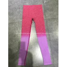 Leggings de Sport cool Mesdames rapide sans soudure